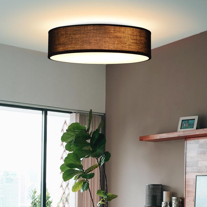 Immagine prodotto Monzana Lampada da soffitto (E27)