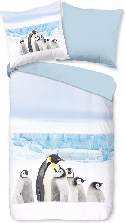 Immagine prodotto Traumschlaf Pinguino (Set di biancheria da letto, 135x200 cm + 80x80 cm)