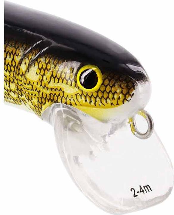 Image du produit Westin Jätte Crankbait 17cm
