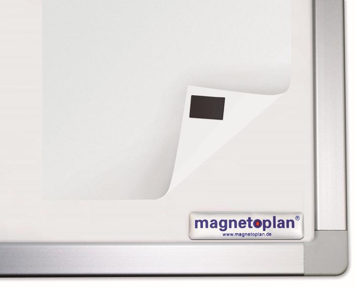 Productafbeelding Magnetoplan Takkis (60 x)