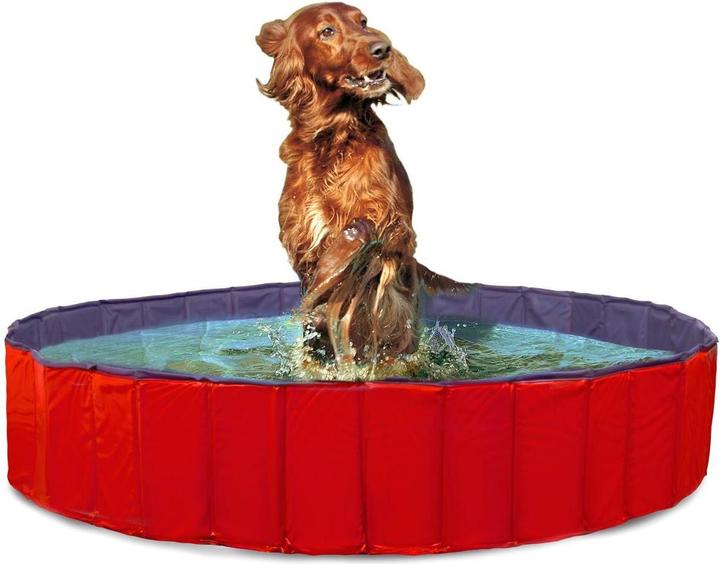 Karlie Doggy
