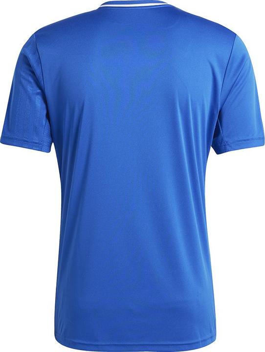 Image du produit adidas Maillot Campeon 25 (L)