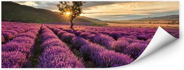 Produktbild Trenddeko Lavendelblüte in der Provence - 01 (80 x 30 cm)