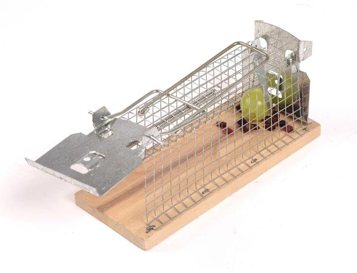 Actual product image Gardigo Live Trap Live Mouse Trap Lo
