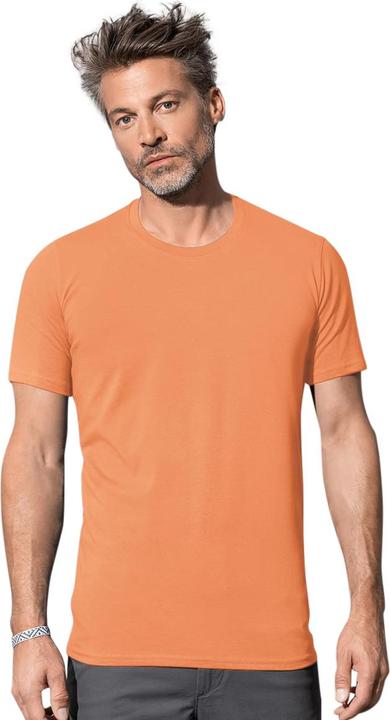 Actual product image Stedman T-shirt Clive with round neckline (L)