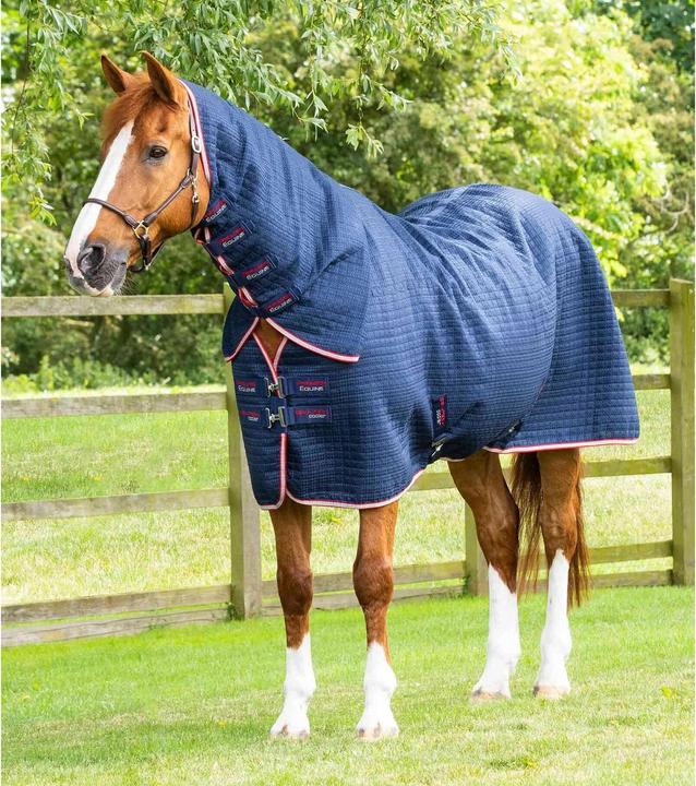 Immagine prodotto Premier Equine Dry-Tech (191 cm)