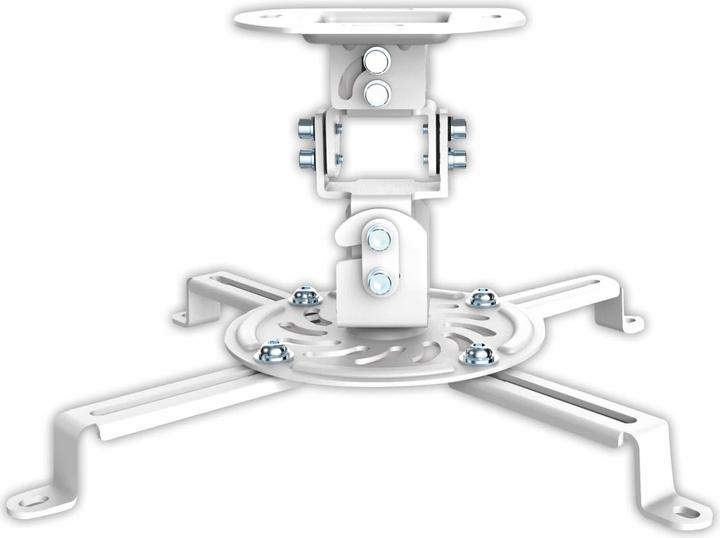 PureMounts Spider 10W (Decke)