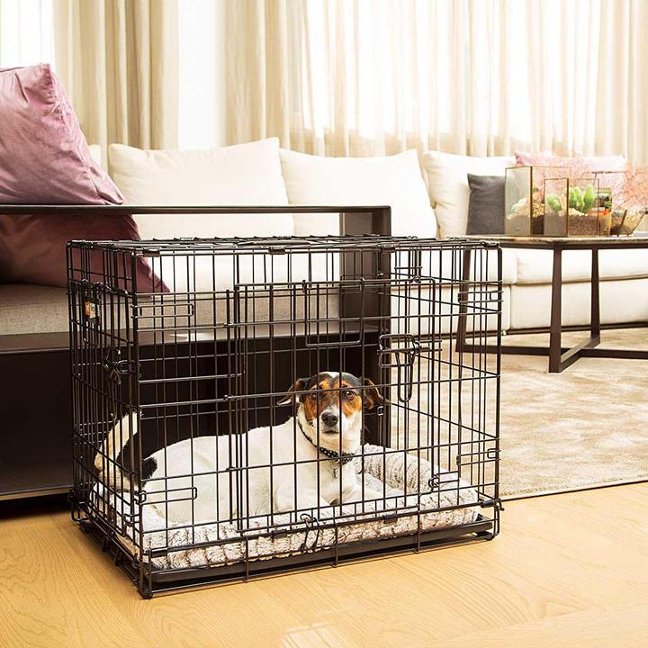 Actual product image Ferplast Dog-Inn (Dog, Safety closure)