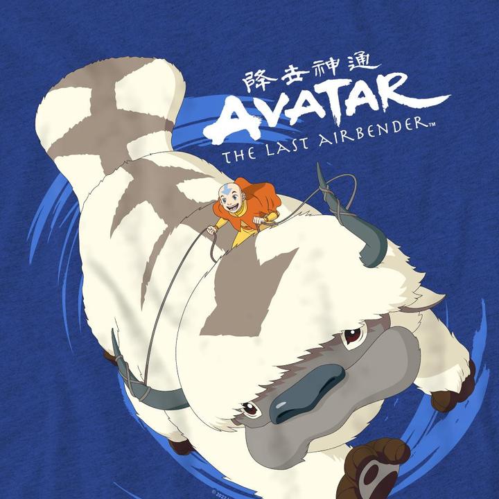 Immagine prodotto Avatar: The Last Airbender In Flight Maglietta Appa Adulto Unisex (3XL)