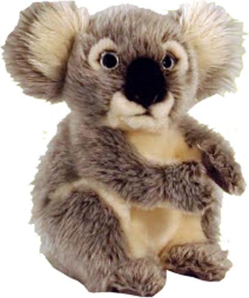 Keel koala (20 cm)