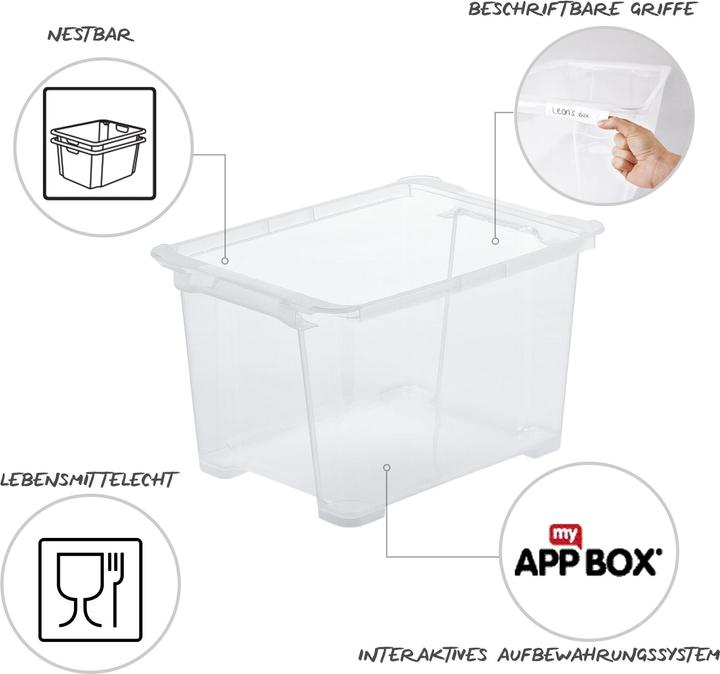 Actual product image Rotho Evo Easy (39 x 28 x 23 cm, 15 l)
