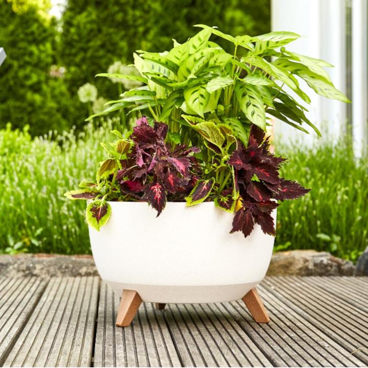 Produktbild Siena Garden Oslo (40 cm)