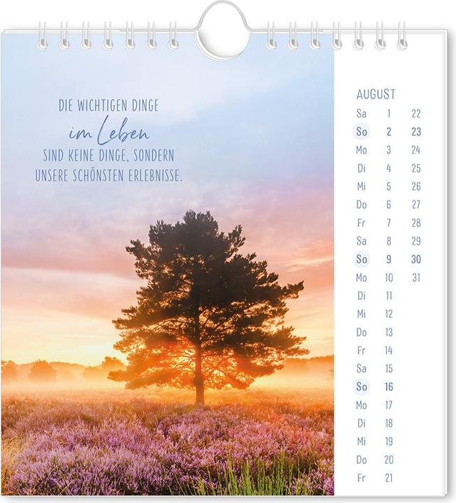 Image du produit Postkartenkalender 2026 Lichtblicke (16 x 17 cm, Couverture rigide, Allemand)