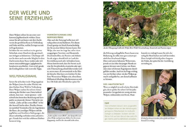Produktbild Kosmos Vom Welpen zum Jagdhelfer (Deutsch, Hans-Jürgen Markmann, 2023)