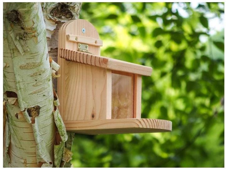 Image du produit Wildlife World Mangeoire pour écureuils, 23 x 17 x 19 cm, FSC Mix