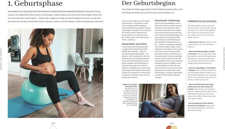 Image du produit Alles über meine Schwangerschaft Tag für Tag (Allemand, Anke Wellner-Kempf, Maggie Blott, 2023)