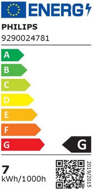 Label énergétique Philips Hue Philips E27 Pack individuel Giant Globe (E27, 7 W, 550 lm, 1 x, G)