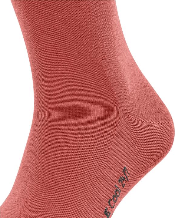 Image du produit Falke Cool 24/7 Men Chaussettes (41 - 42)