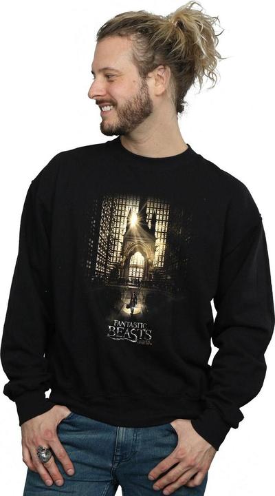 Actual product image Fantastic Beasts Mens Movie Poster Sweatshirt (L)