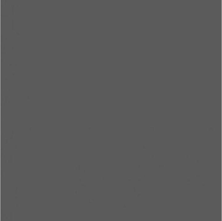 Actual product image Savage Background 2.72 x 11 m Dark Gray (272 cm, 1100 cm)