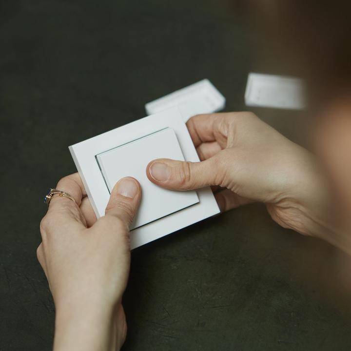Actual product image Senic Friends of Hue