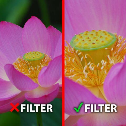 Actual product image Marumi Achromat Macro 200 5 DHG (49 mm, Close-up lens)