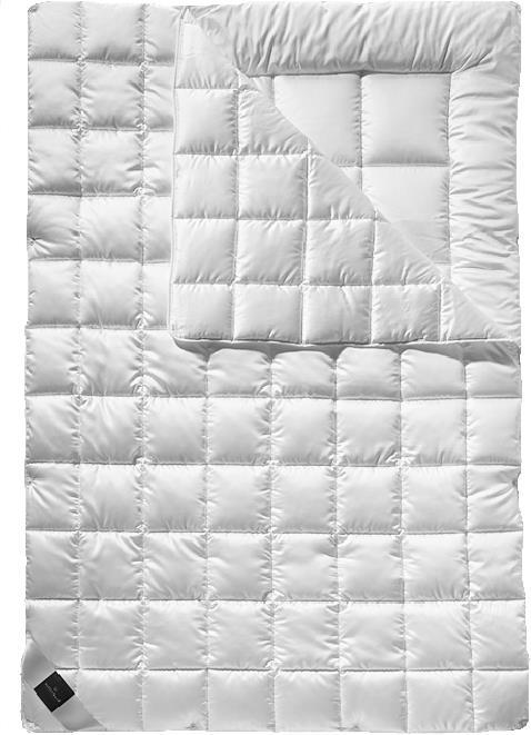 Immagine prodotto Billerbeck Rheumalind (2650 g, 200 x 210 cm)