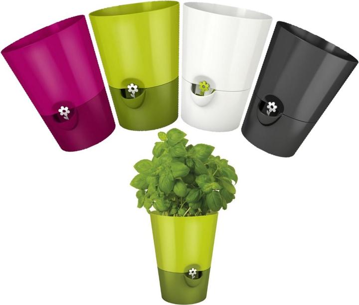 Immagine prodotto Emsa Erbe fresche (13 cm)