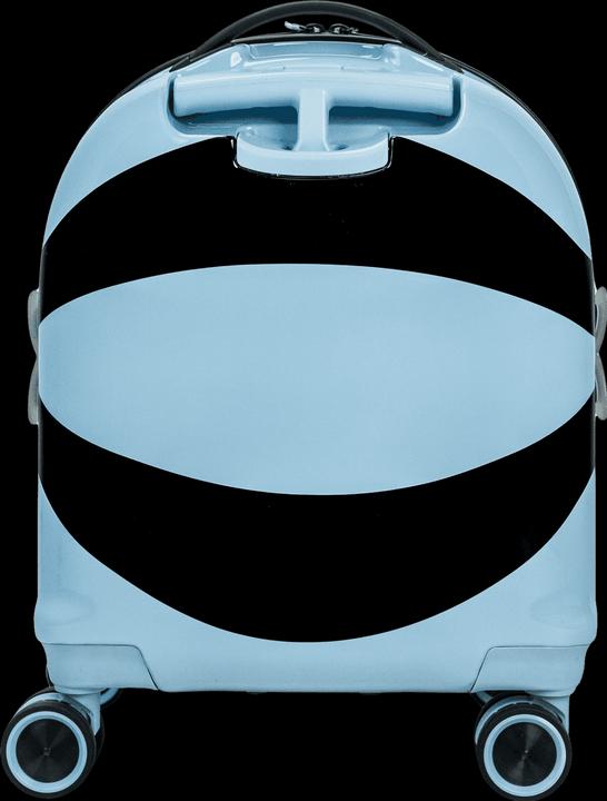 Actual product image Swissbags S (36 l, Hand luggage (up to 50 litres))