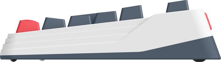 Produktbild Iqunix L80 Formula (CH, Kabelgebunden, Kabellos)