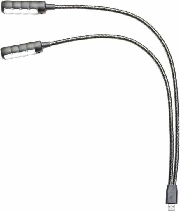 Actual product image Adam Hall Gooseneck light