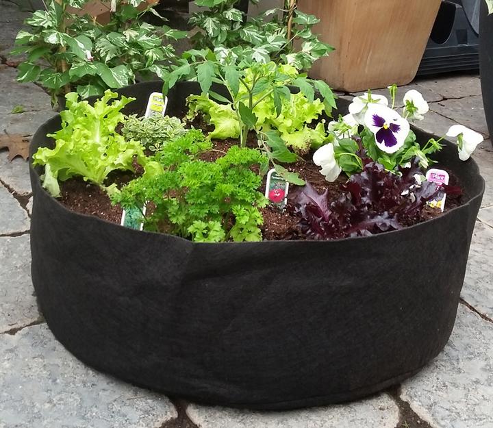 Image du produit Smart Pot 10
