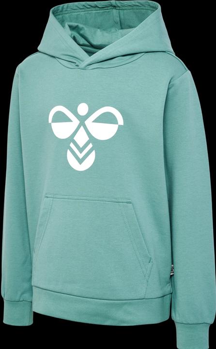 Image du produit hummel Cuatro Hoodie (110)