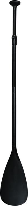 Immagine prodotto VidaXL Stand Up Paddle Board Set (10')