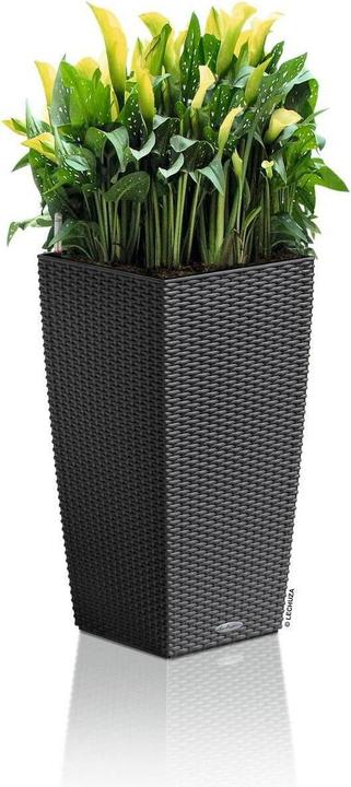 Produktbild Lechuza Cubico Cottage (29.50 cm)