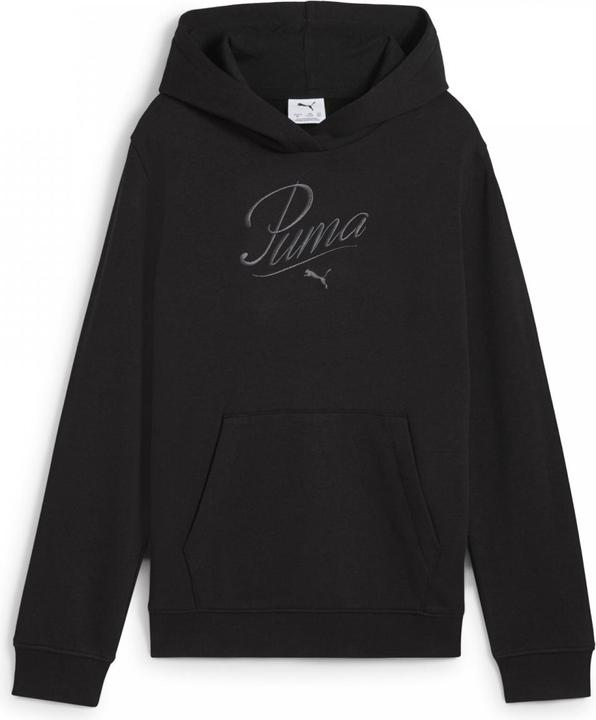 Actual product image Puma ESS SCRIPT Hoodie TR G (176)