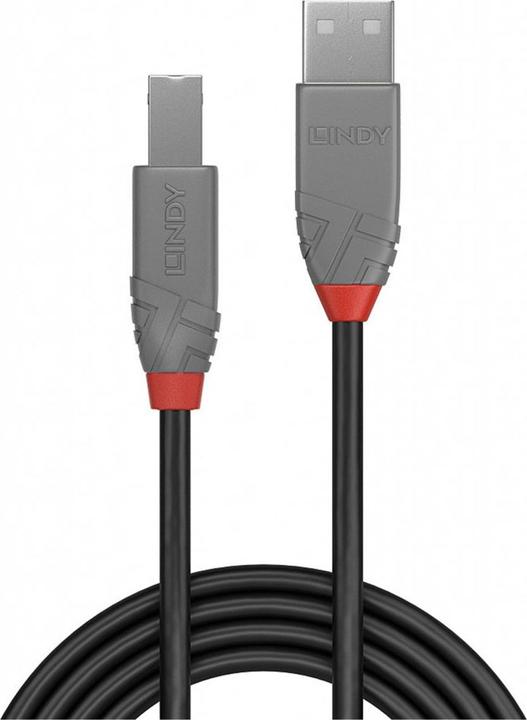 Image du produit Lindy USB A-Usb B (5 m, USB 2.0)