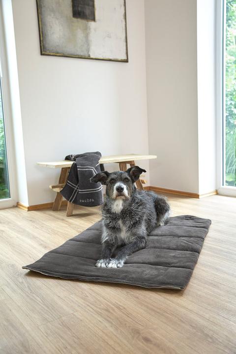 Actual product image Palopa Alma (Dog)