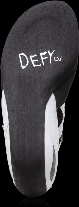 Actual product image Evolv Defy LV (36)