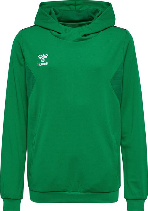 Actual product image hummel Hmlauthentic Pl Hoodie Kids (152)