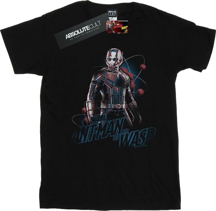 Actual product image Mens Ant-Man And The Wasp Lab Pose T-Shirt (L)