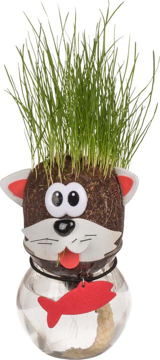 Image du produit Out of the blue Tête d'herbe dans le conteneur Chat