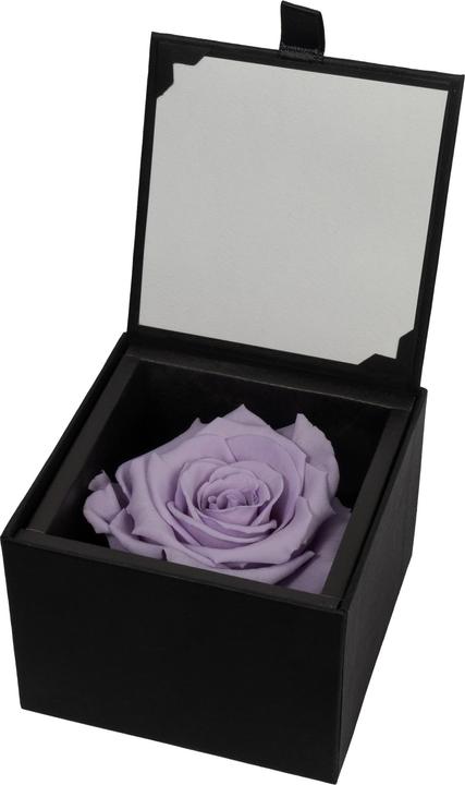 Actual product image Migros Ostschweiz Premium rose (stabilised rose) in gift box (Infinity Flowers)