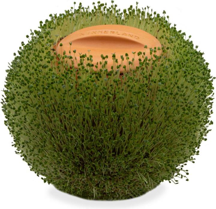 Actual product image Kikkerland Green Orb (15 cm)