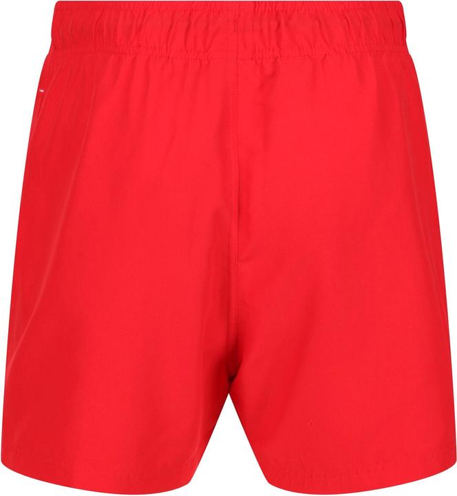 Produktbild Regatta Mawson II Kurze Hose (M)
