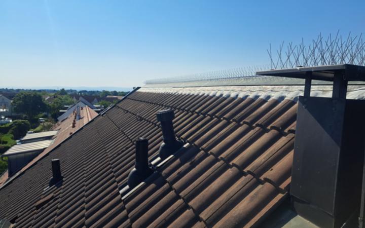 Image du produit Astrein Protections contre les pigeons