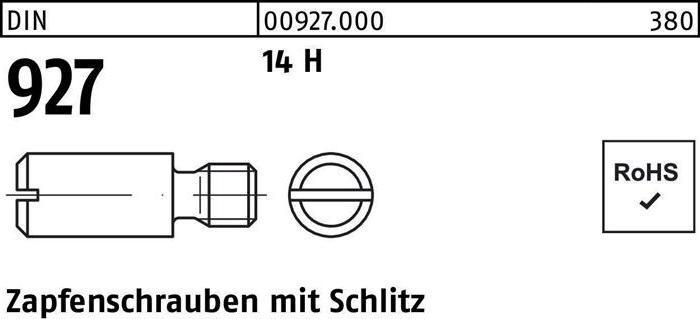 Image du produit Vis à tenon DIN 927 avec fente M 4 x 10 14 H (100 Vis par pièce)