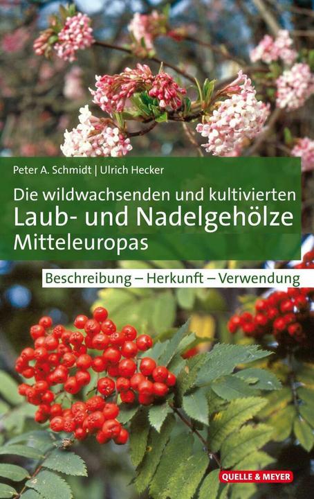 Image du produit Die wildwachsenden und kultivierten Laub- und Nadelgehölze Mitteleuropas (Allemand, Ulrich Hecker, Peter A. Schmidt, 2020)