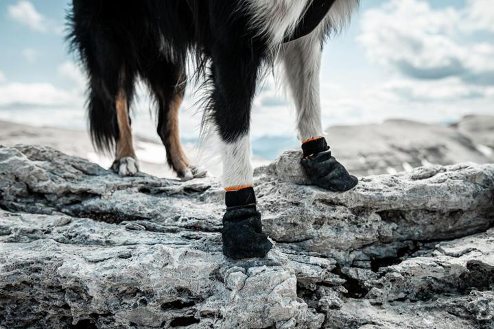 Produktbild Non-Stop Dogwear Pector Booties 4 Stk (L, Hundeschuhe)