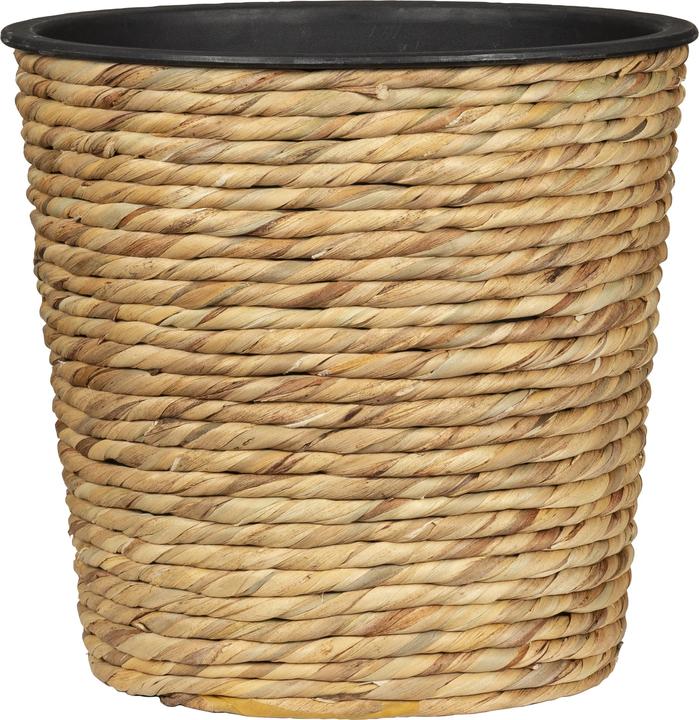 Immagine prodotto Scheurich Giacinto d'acqua 16, fioriera a cesto / fioriera a cesto / vaso a cesto in giacinto d'acqua Colore: (16 cm)